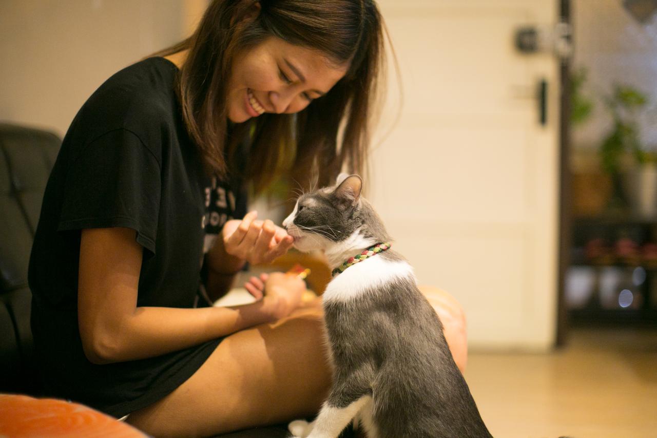 Lento Hostel Đài Nam Ngoại thất bức ảnh